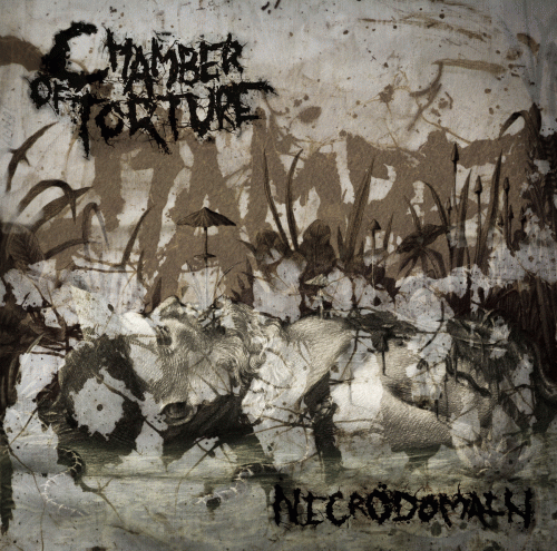 Chamber Of Torture : Necrodomain